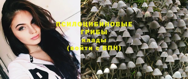 бошки Волоколамск