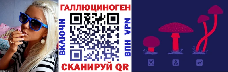 Псилоцибиновые грибы MAGIC MUSHROOMS  Жуков 